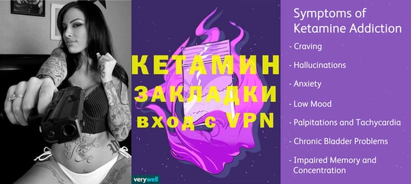 крисы Каменка