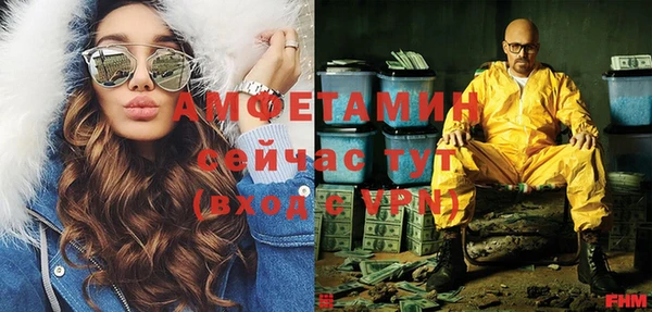 крисы Каменка